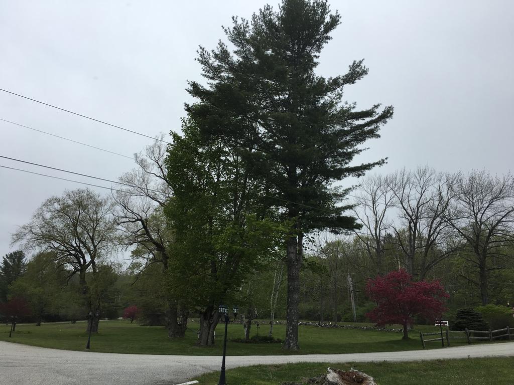 Weathervane Motel Manchester Εξωτερικό φωτογραφία